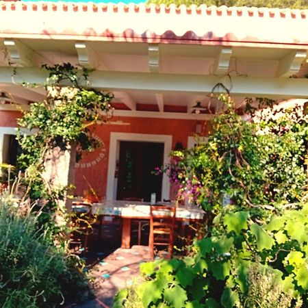 La Fattoria Delle Tartarughe Villa San Gregorio  Exterior photo