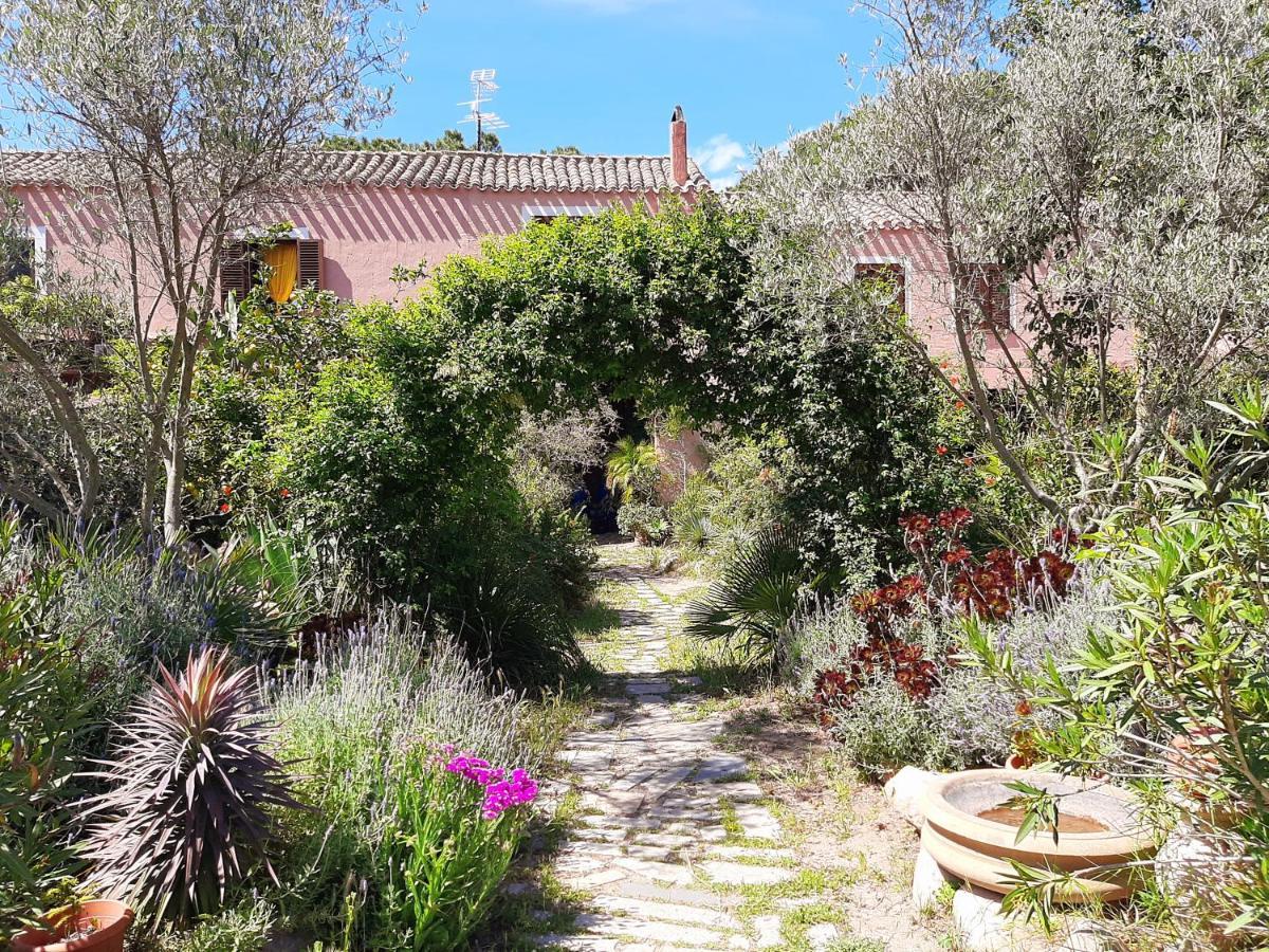 La Fattoria Delle Tartarughe Villa San Gregorio  Exterior photo