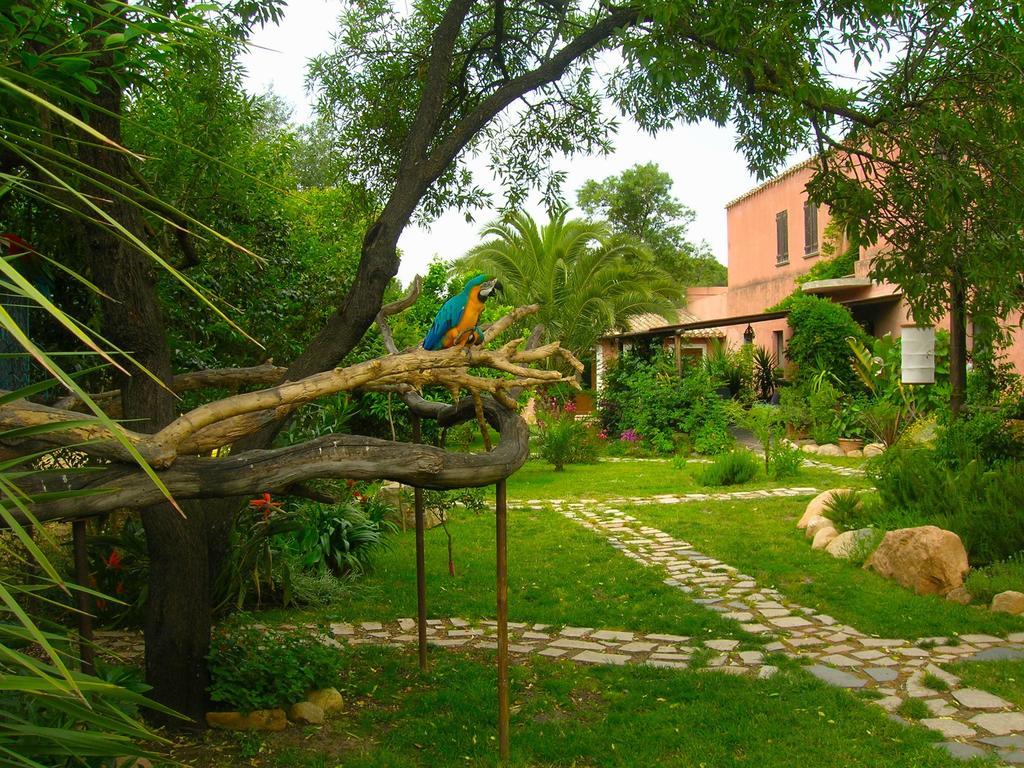 La Fattoria Delle Tartarughe Villa San Gregorio  Exterior photo