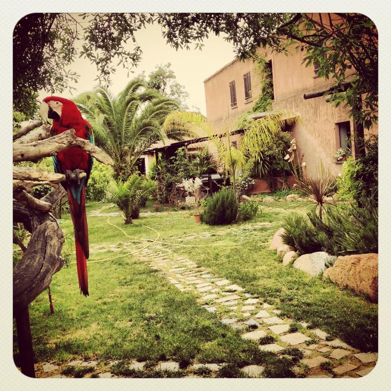 La Fattoria Delle Tartarughe Villa San Gregorio  Exterior photo