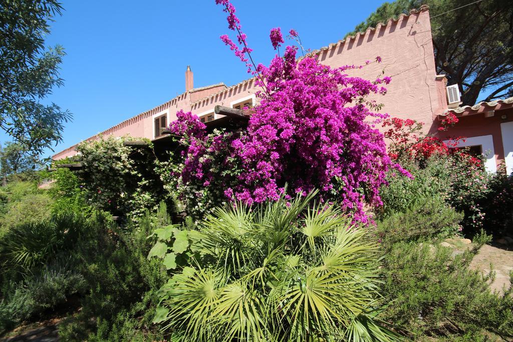 La Fattoria Delle Tartarughe Villa San Gregorio  Exterior photo